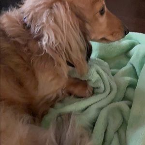 Meet your Posher, Lisa